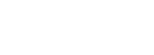 The Singular